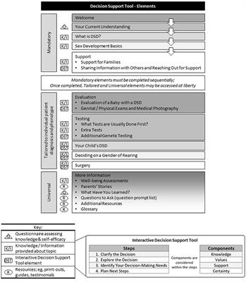 Navigating Surgical Decision Making in Disorders of Sex Development (DSD)